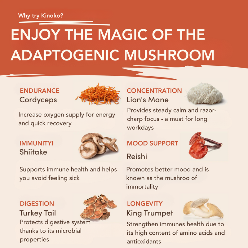 Mushroom Coffee