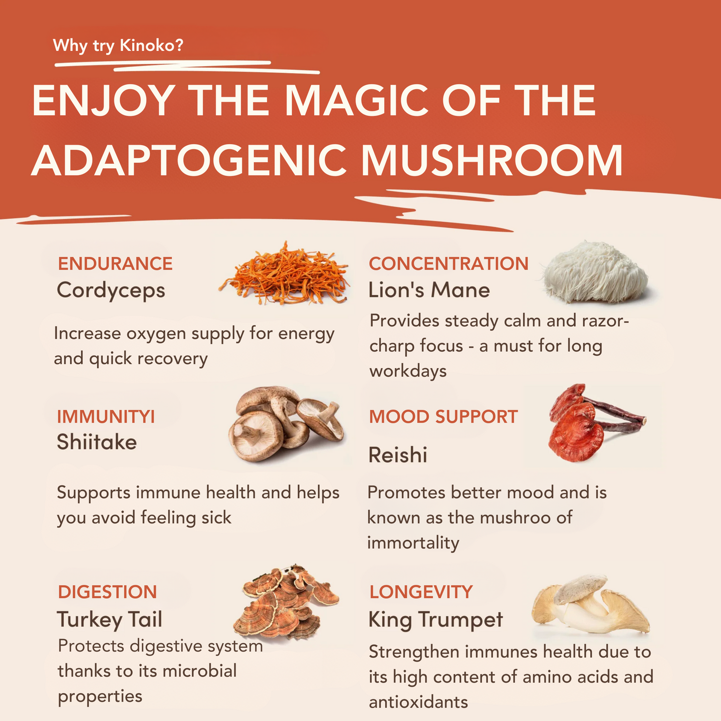 Kinoko Mushroom Coffee