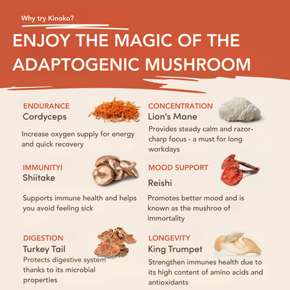 Kinoko Mushroom Coffee